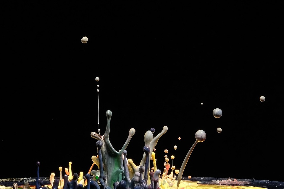 Eszme, szervezet, személy